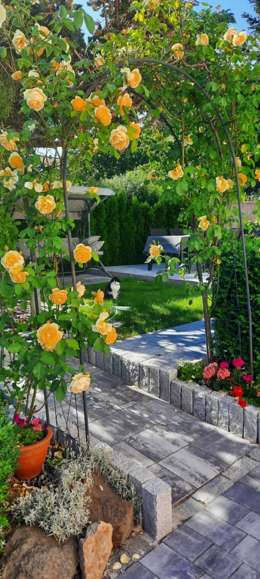 Mariánské Lázně Villa Shafaly מראה חיצוני תמונה