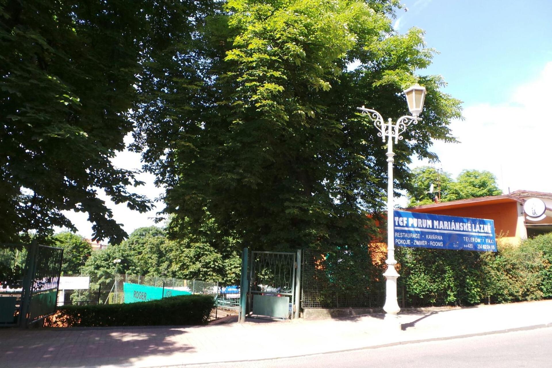 Mariánské Lázně Villa Shafaly מראה חיצוני תמונה